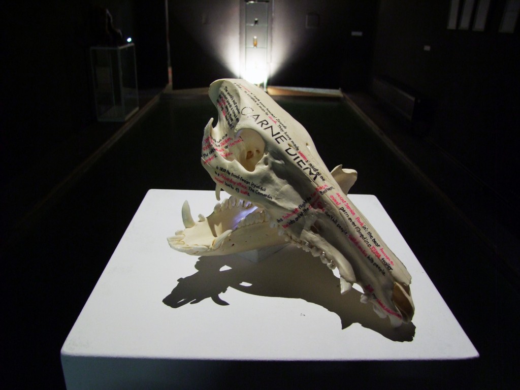 #einzelausstellung #konserven #sinnträger #tattoo #leipzig #medienkunst #installation #präparate #methylsalizylat #fische #fledermaus #kohlmeise #wildschwein #skull #alufolie #aluminiumfolienabdrücke #facebook #comment #spine #rehbock #cranium #apperzeption #konservierung #octopus #pelz #pelzkragen