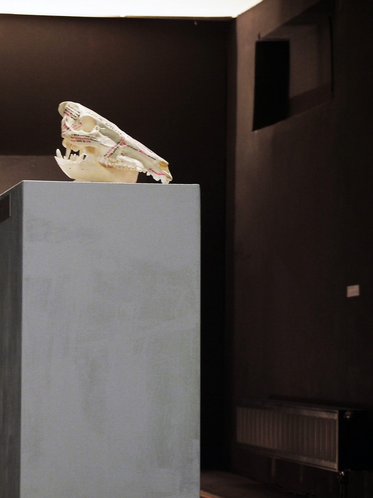 #einzelausstellung #konserven #sinnträger #tattoo #leipzig #medienkunst #installation #präparate #methylsalizylat #fische #fledermaus #kohlmeise #wildschwein #skull #alufolie #aluminiumfolienabdrücke #facebook #comment #spine #rehbock #cranium #apperzeption #konservierung #octopus #pelz #pelzkragen