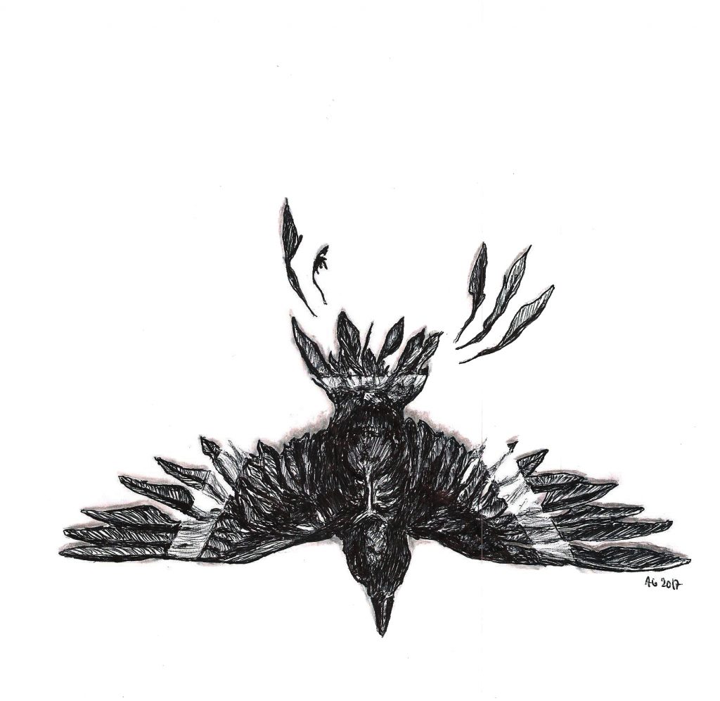 #bird #taped #crow #specimen #grafik #graphic #tattoo #annegeorgius #corpusdelicti #principia.discordia