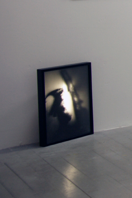 #hgb #hochschulefürgrafikundbuchkunst #medienkunst #installation #klassefürinstallationundraum #rundgang #performance #leuchtkasten #elephants #elefanten #gun #gewehr #figuren #topsy #execution #marytheelephant #mary
