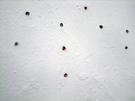 #medienkunst #installation #performance #klassefürinstallationundraum #undertained #wrote #iloveyou #cocaine #toilet #kaufhausheld #einschusslöcher #diabolos #wand #wall #gun #gewehr
