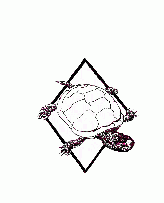 #extincted #redlist #graphics #tattoos #aussterben #grafiken #roteliste #uicn #threatenedspecies #tattoovorlage