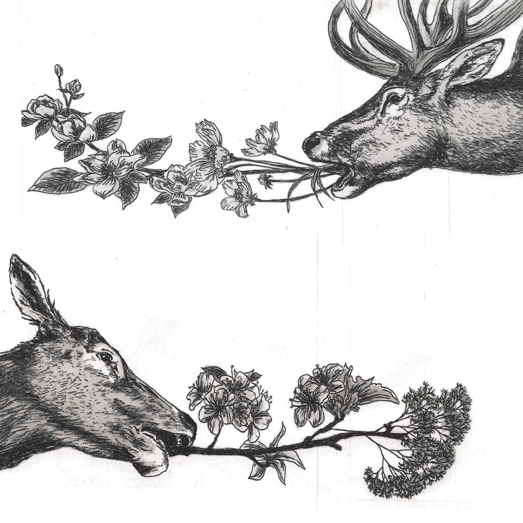 #grafik #deer #flowers #grafic #leipzigtattoo #tattooleipzig #bodyart #conceptualbodyart #tattoo #annegeorgius #corpusdelicti #arte.corpus.delicti