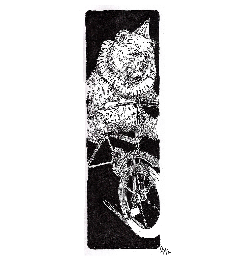 #bear #bearonabike #bike #circus #grafik #graphic #tattoo #annegeorgius #corpusdelicti #principia.discordia