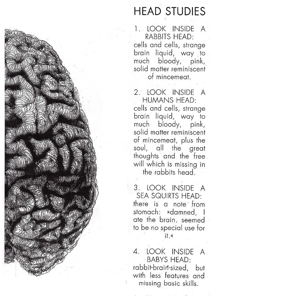#headstudies #rabbit #human #seasquirt #baby #brain #soul #mincemeat #grafik #graphic #tattoo #annegeorgius #corpusdelicti #principia.discordia