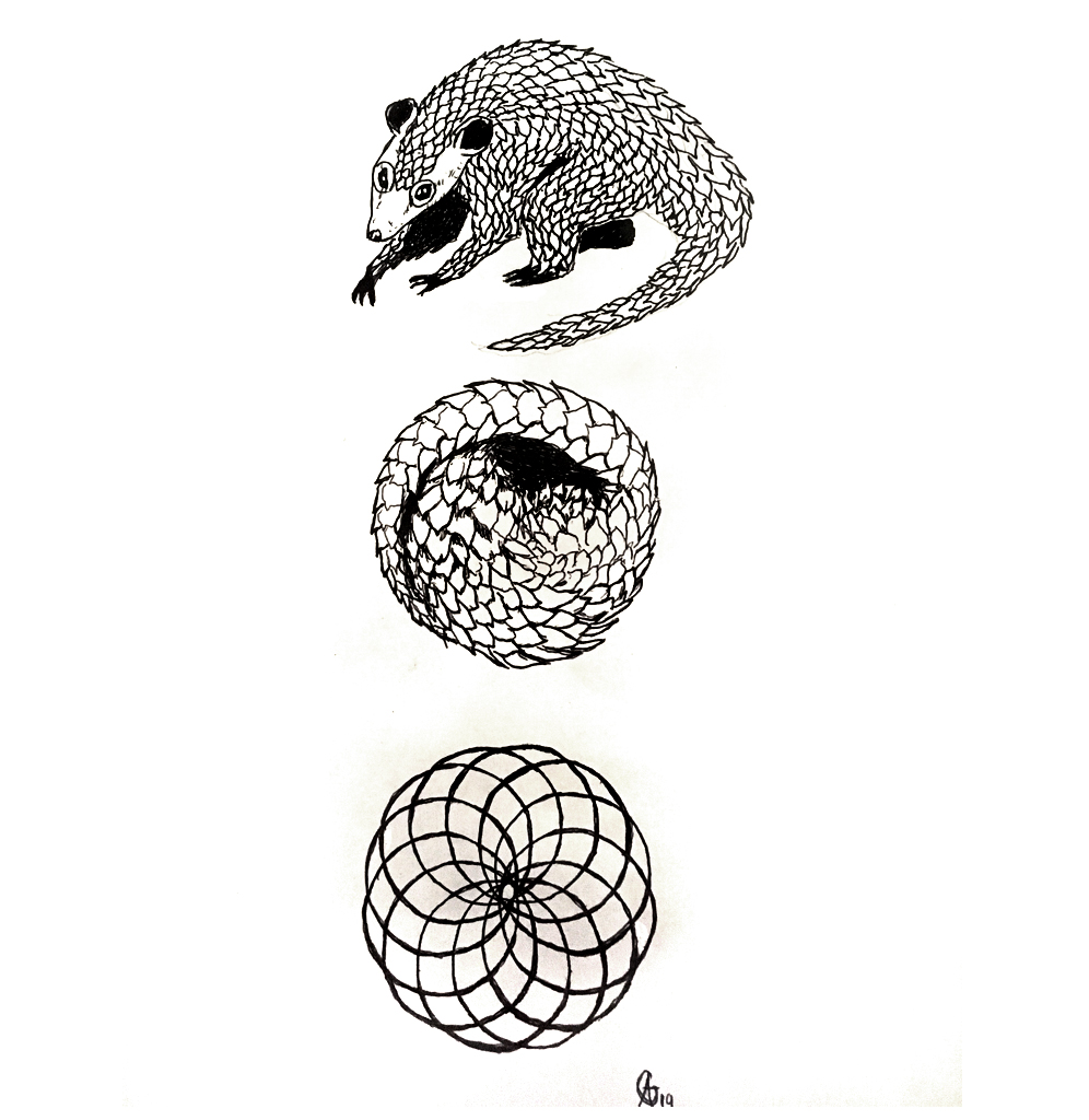 #armadillo #gürteltier #metamorphose #kreis #circle #grafik #graphic #tattoo #annegeorgius #corpusdelicti #principia.discordia
